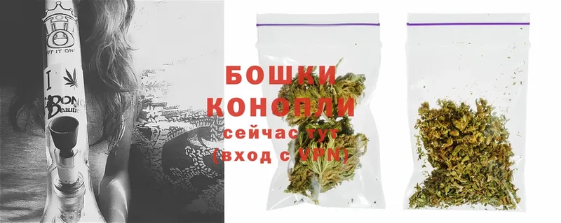 где купить наркоту  Верхотурье  Бошки марихуана SATIVA & INDICA 